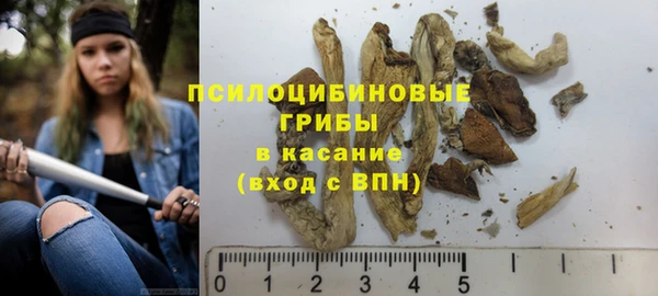 молекула духа Бугульма