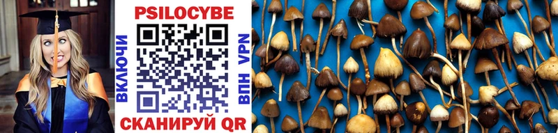 Купить где  Чебаркуль  Галлюциногенные грибы Psilocybe 