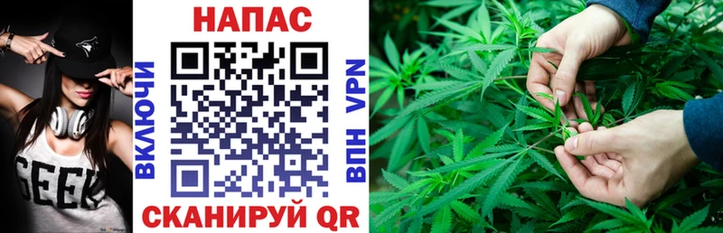 Купить закладки  Чебаркуль  Конопля индика 